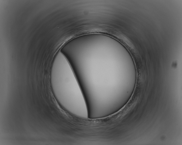 X0000097760793200803070835