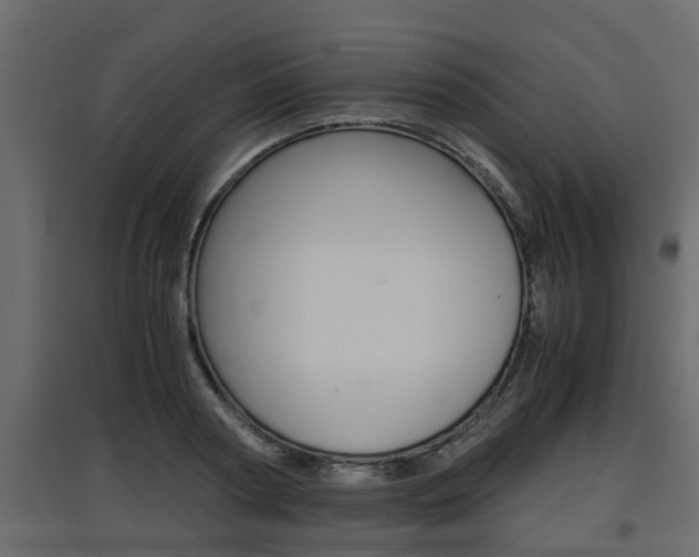 X0000097760794200803070835