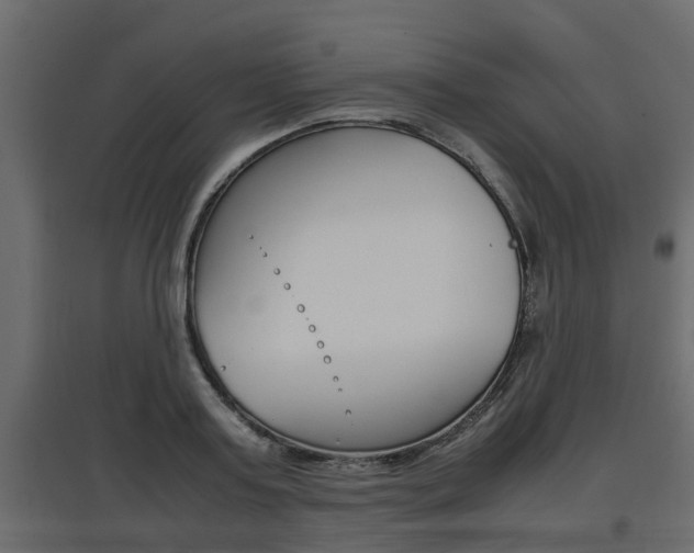 X0000097760795200803070835