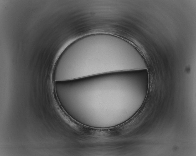X0000097760796200803070835