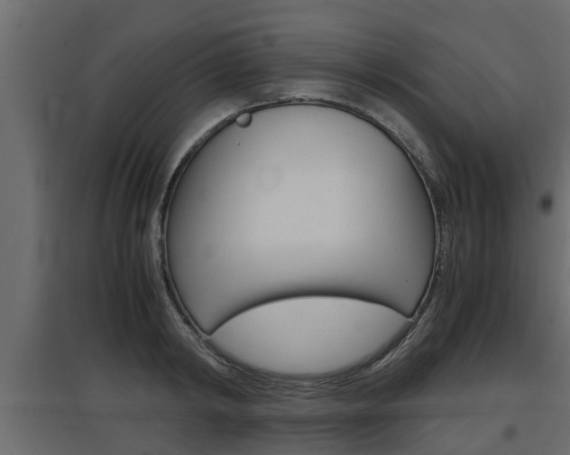 X0000097760798200803070835