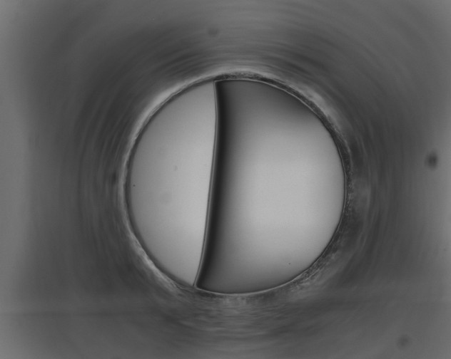 X0000097760799200803070835