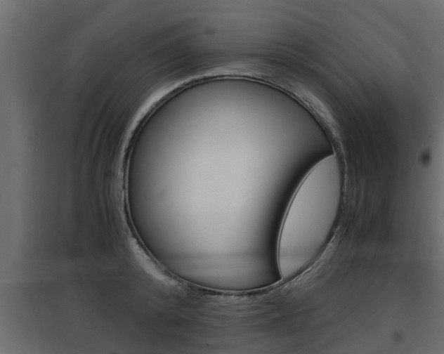 X0000097760800200803070835