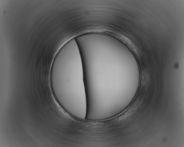 X0000097760802200803070835
