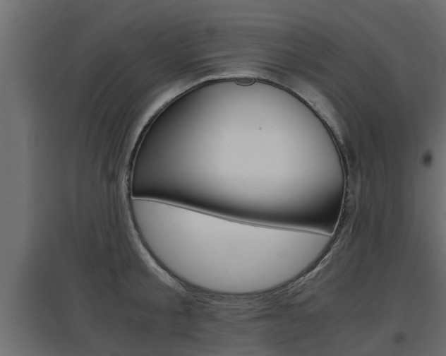 X0000097760805200803070835