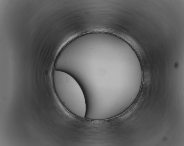 X0000097760806200803070835
