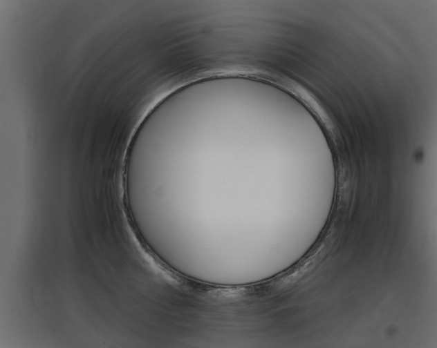 X0000097760810200803070835