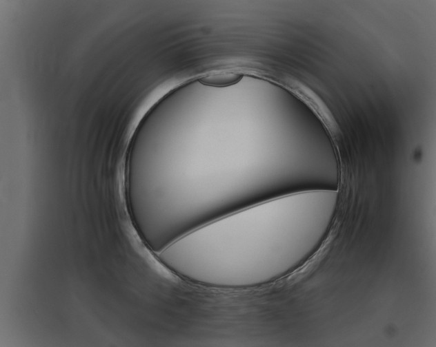 X0000097760812200803070835
