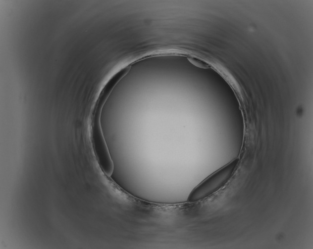 X0000097760813200803070835