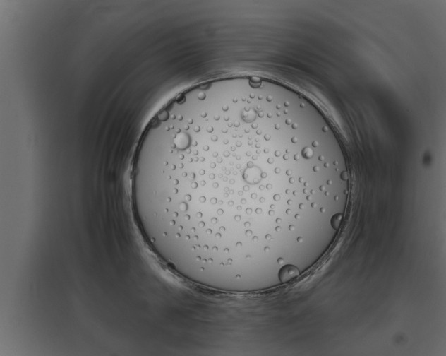 X0000097760814200803070835