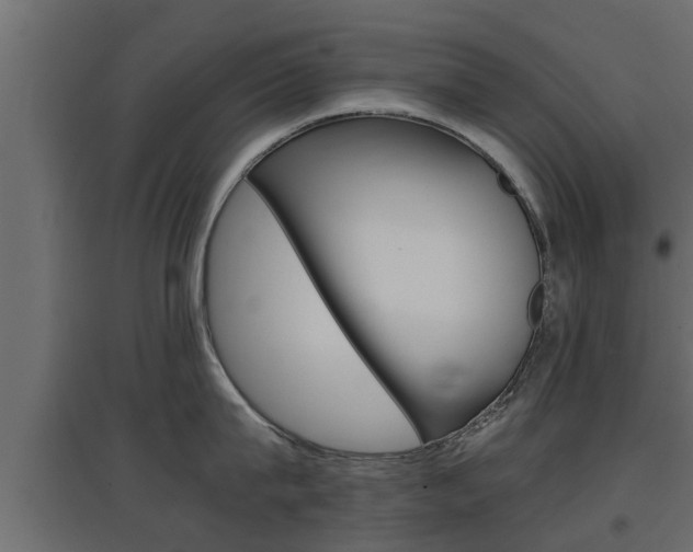 X0000097760815200803070835