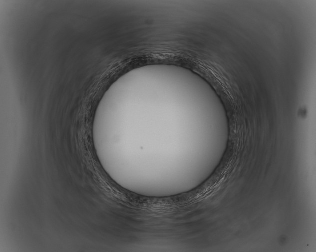 X0000097760817200803070834