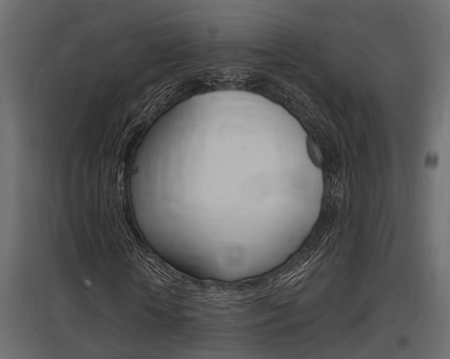 X0000097760818200803070834