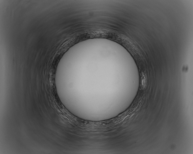 X0000097760819200803070834