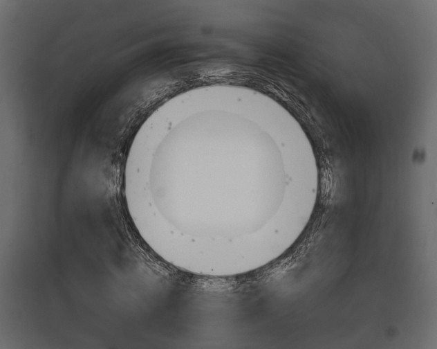 X0000097760820200803070834