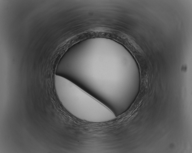 X0000097760821200803070834