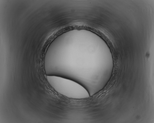X0000097760823200803070834
