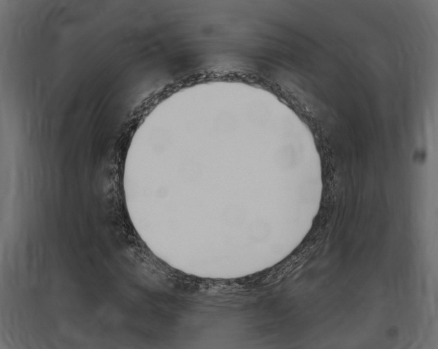 X0000097760824200803070834