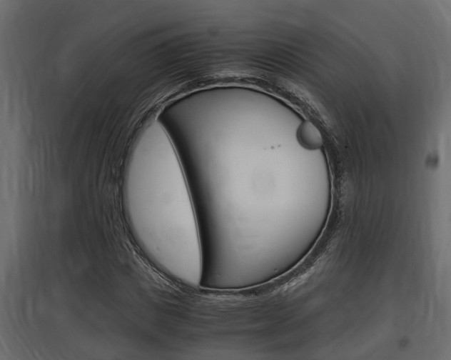 X0000097760825200803070834