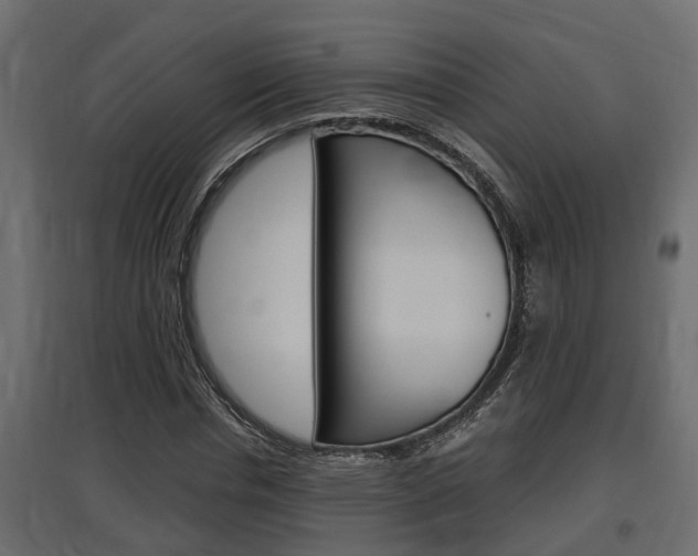 X0000097760826200803070834