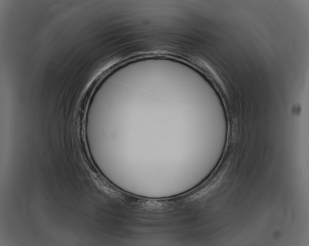 X0000097760827200803070834