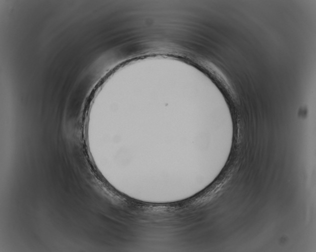 X0000097760828200803070834