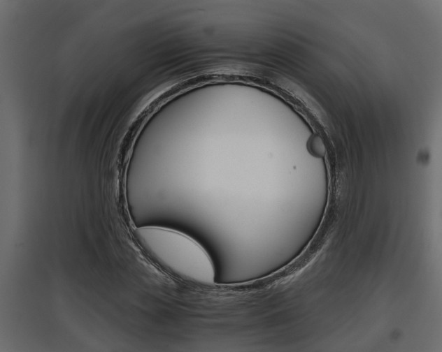 X0000097760829200803070834