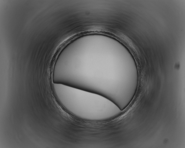 X0000097760831200803070834