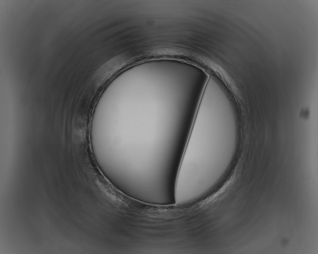 X0000097760833200803070835