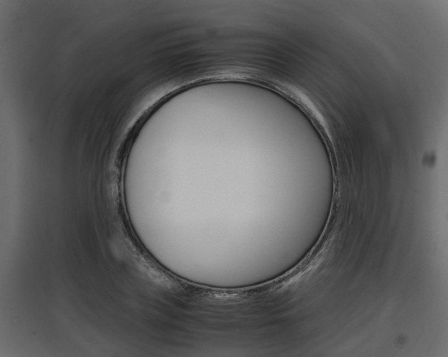 X0000097760835200803070835