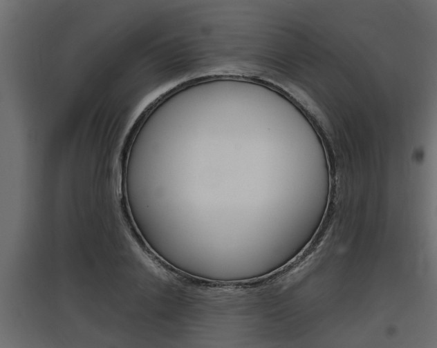 X0000097760838200803070835