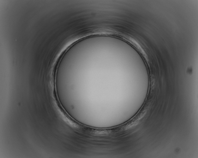 X0000097760843200803070835