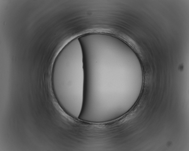 X0000097760844200803070835