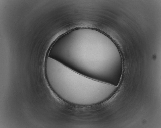 X0000097760845200803070835