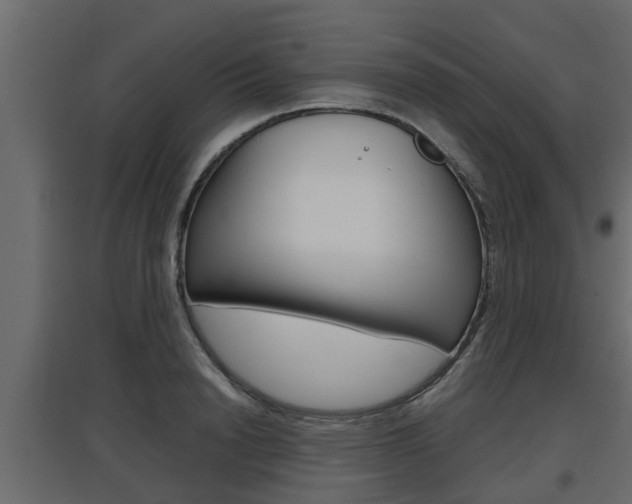 X0000097760846200803070835