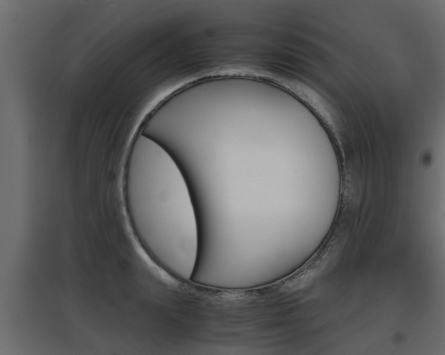 X0000097760847200803070835