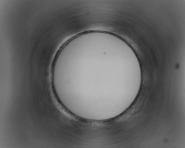 X0000097760848200803070835