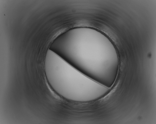 X0000097760849200803070835