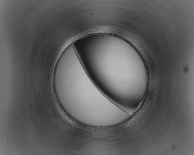 X0000097760850200803070835