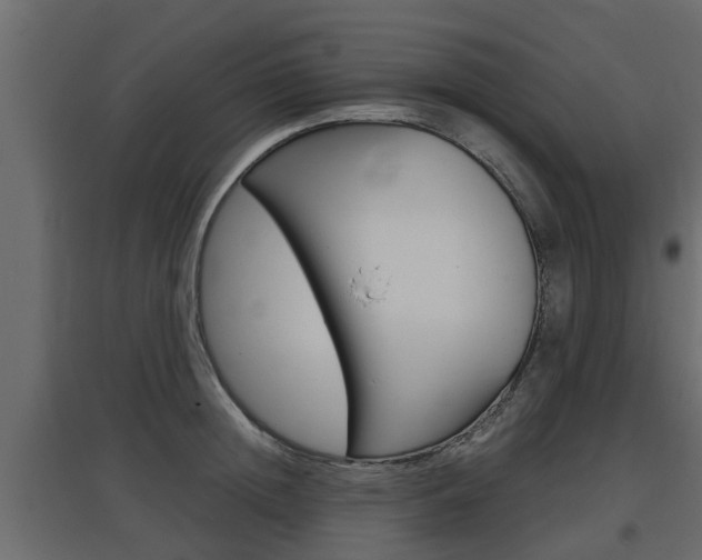 X0000097760852200803070835