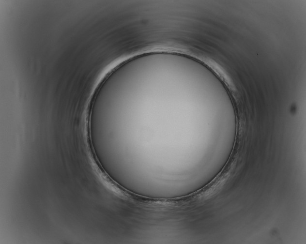X0000097760854200803070835