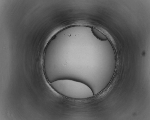 X0000097760855200803070835