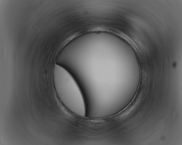X0000097760857200803070835