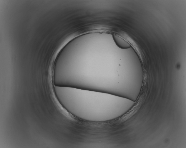 X0000097760859200803070835