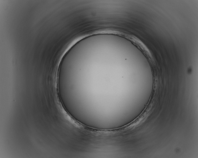 X0000097760860200803070835