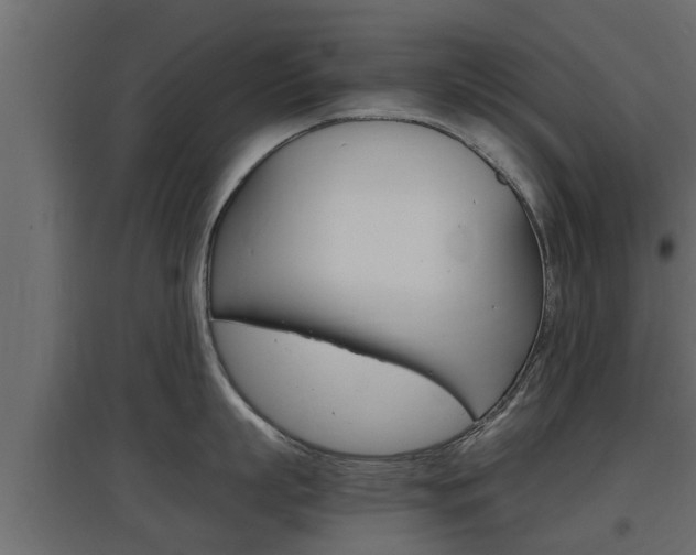 X0000097760863200803070835