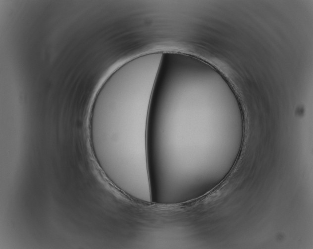 X0000097760864200803070835