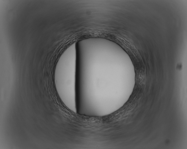 X0000097760865200803070834