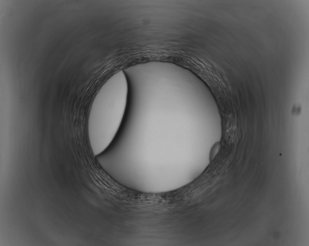 X0000097760866200803070834
