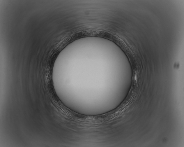 X0000097760867200803070834